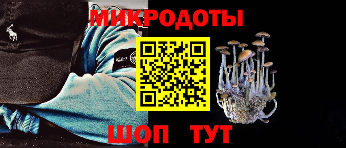 Псилоцибиновые грибы Psilocybine cubensis Анапа