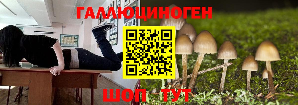 что такое наркотик  Галлюциногенные грибы Psilocybe  Вход с VPN  Анапа 